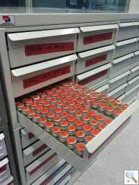 Laboratory Specimen Bottle Storage Drawer